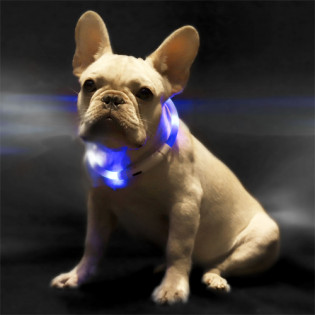 Xiaomi Mini Monstar Lighting Pet Collar